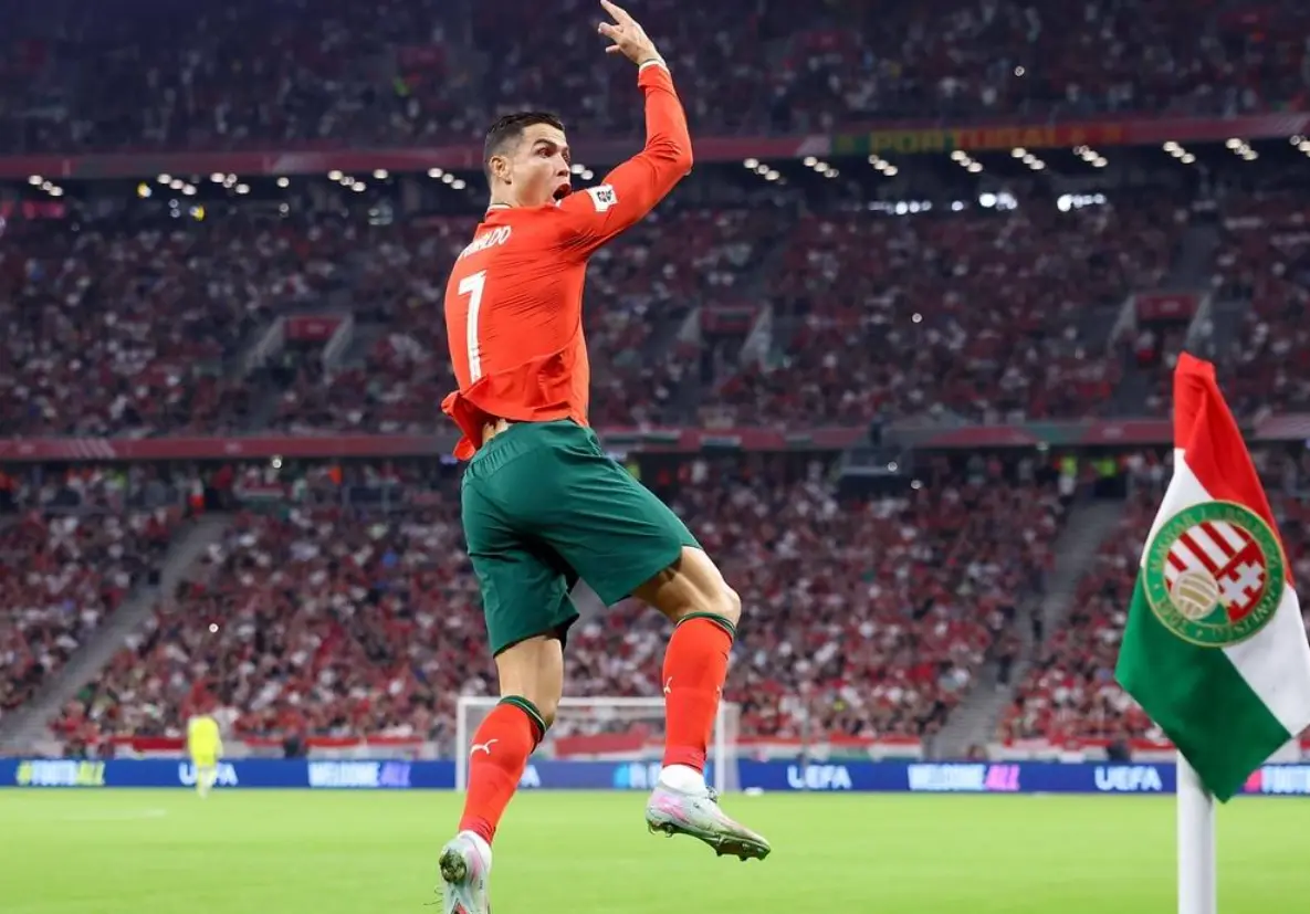 当然, entit 当然, entit