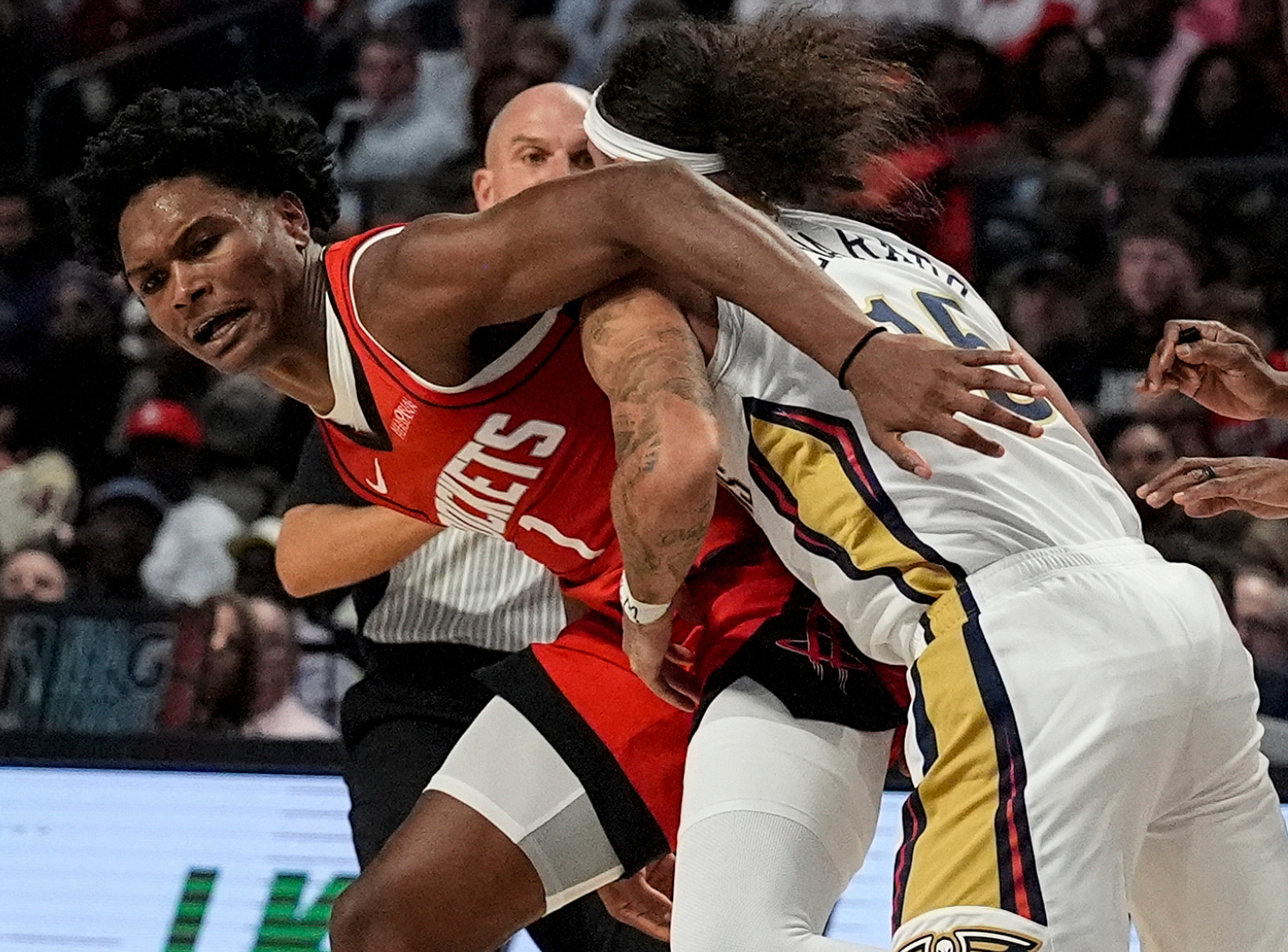 鹈鹕这边上, 谢泼德, jpg