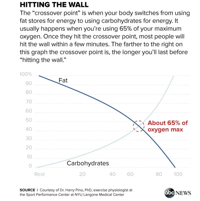 这样的运动 这样的运动